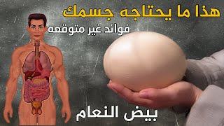 فوائد مدهشه ستجعلك تأكل بيض النعام كل يوم