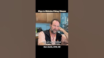 Cat Kidney Disease Prevention Tips with Marc Smith, DVM, MS
