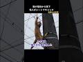 猫が電柱から落下!住人がシートでキャッチ #保護猫 #保護活動 #猫動画
