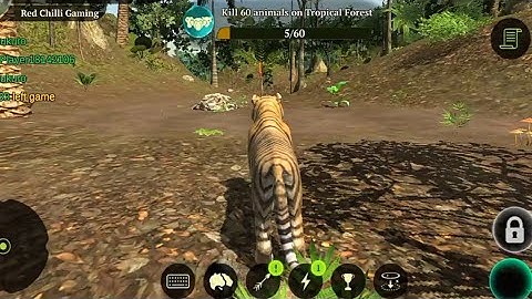 The Tiger | gameplay walkthrough part 1 | Red Chilli Gaming | Android iOS