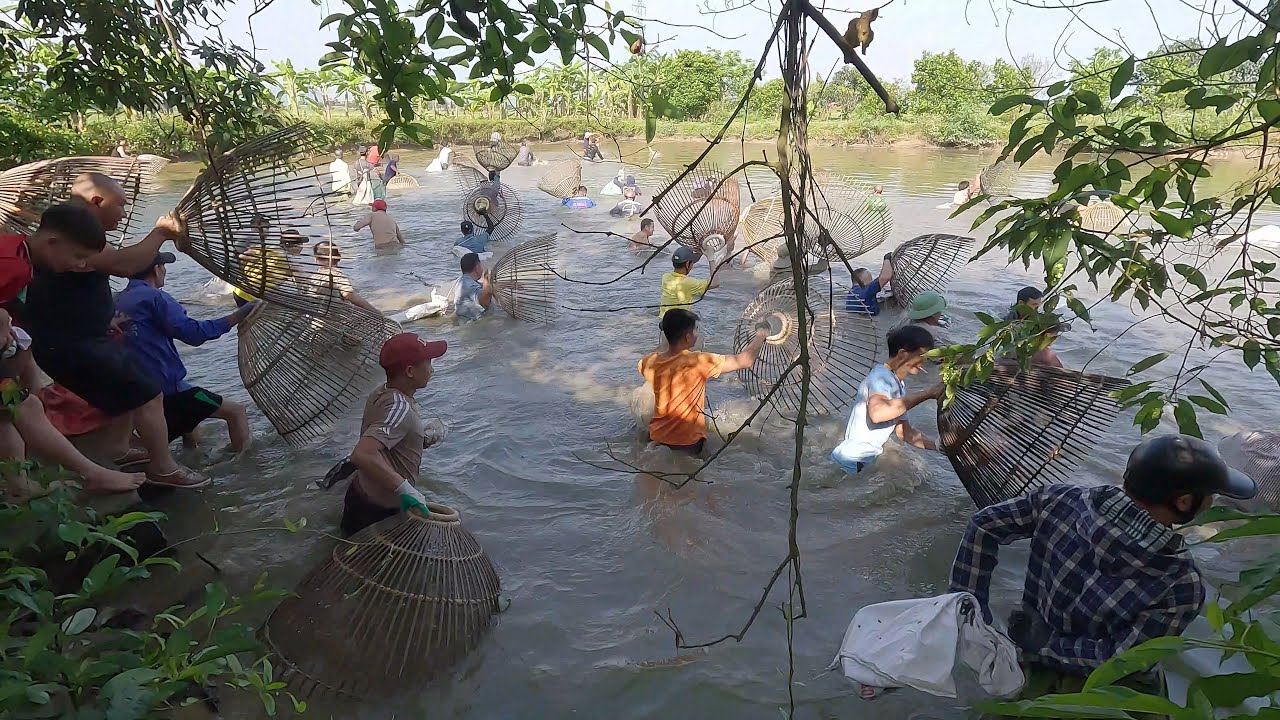 Nước cạn cả xóm đi nơm cá hưng hugo