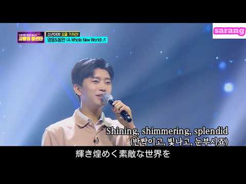 A Whole New World - イムヨンウン チョンドンウォン (임영웅 정동원) 【日本語字幕/歌詞/和訳】