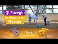 Die Bedeutung Deiner Chi Energie im Umgang mit Pferden - Die Königsklasse der Verständigung