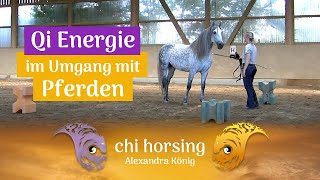 Die Bedeutung Deiner Chi Energie im Umgang mit Pferden  Die Königsklasse der Verständigung