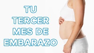 Tercer mes de embarazo. Guía completa para la embarazada de 3 meses