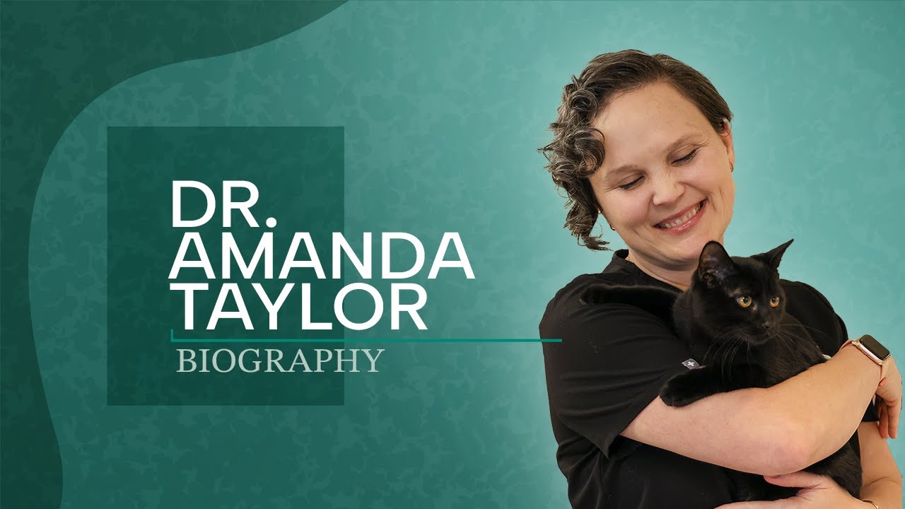Get To Know Veterinary Neurologist, Dr. Amanda Taylor YouTube