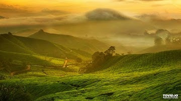 سورة النمل - سعد الغامدي - Surah An Naml Saad Al Ghamdi
