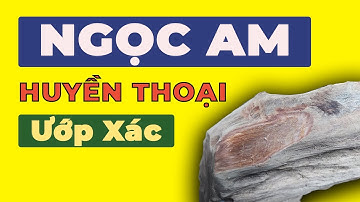 Tìm Hiểu Gỗ Ngọc Am ?