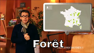 Est-ce que forêt est un adjectif ?