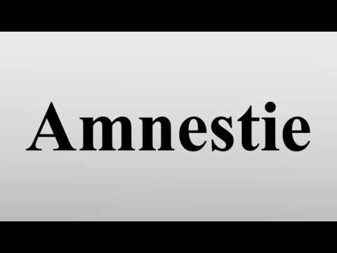 Video: Welche Artikel Fallen Unter Die Amnestie