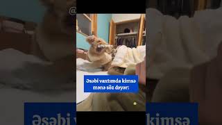 Whatsapp Ucun Maraqli, Mənali Statuslar ,Status Ucun Sevgi Videolari, Qəmli̇ Whatsapp Statuslari 2025