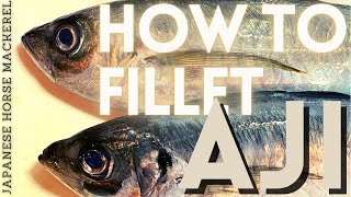 【How to fillet Horse Mackerel】 Ultimate Japanese Knife Technique, Sanmai Oroshi 三枚おろし　アジの捌き方【全編英語】