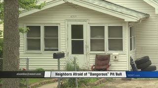 Humane Society Investigators Track Down Dangerous Pit Bull