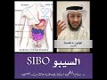 ماهو السيبو SIBO ماهو السيبو SIBO