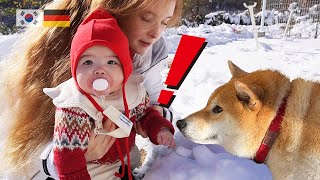 SUB) 🇰🇷🇩🇪 Korean baby's reaction to seeing a puppy for the first time | ADORABLE | Trip in Korea