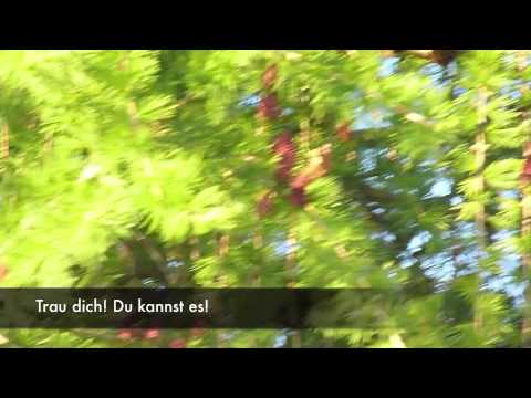 Video: Wie Lärchen Blüht