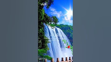 قرآن كريم تلاوة نادرة عبد الرحمن مسعد