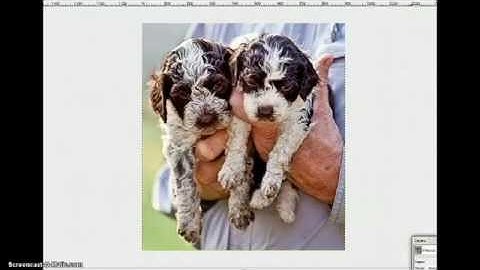 Designing with Gimp & Inkscape 1