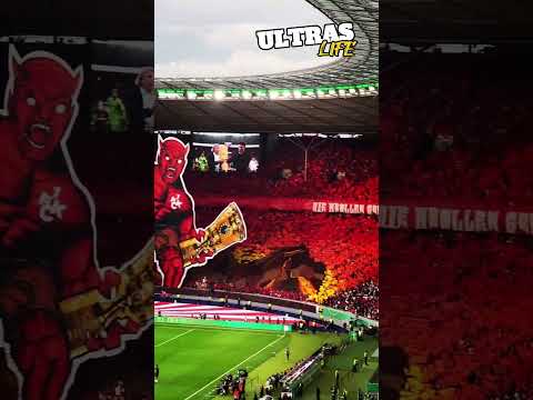 Kaiserslautern Fans Choreo im DFB-Pokalfinale | FCKaiserslautern - Bayer Leverkusen 25.5.24