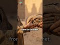 Who was the LAST FEMALE COMPANION?