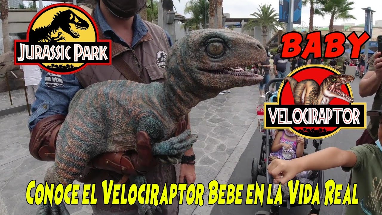 Bebe Raptor Raptor Bebé Del Parque Juråsico