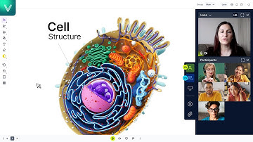 Classroom Management on VEDAMO Virtual Classroom