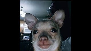 Deadlocked - 3 Coins Robtop Demon - Mathid