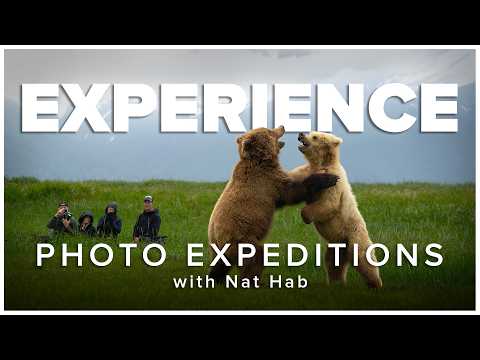 Experience the Ultimate Nature Photo Expeditions with Nat Hab