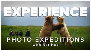 Experience the Ultimate Nature Photo Expeditions with Nat Hab