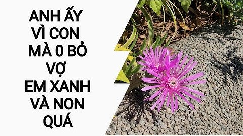 “VÌ CON”ANH không LY HÔN. EM CÒN QUÁ XANH VÀ NON không HIỂU ĐÚNG và ĐỦ về người, Em đang thông dâm.