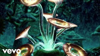 Grass Patch Bum - Where Paths Learn to Walk Profile