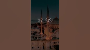 الشيخ نعمة الحسان - سورة آل عمران - من الآية 5 إلى الآية 6