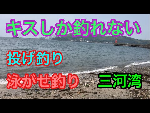 キスしか釣れない投げ釣り 泳がせ釣り三河湾