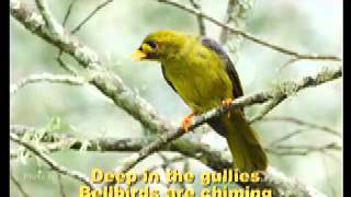 Carol of the Birds : Australian Christmas Carol sung by Bucko & Champs