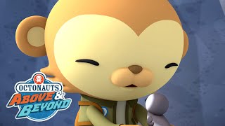 Octonauts: Above & Beyond -  🙉 Paani Plays Uncle to a Baby Goose 🦆 | @OctonautsandFriends​ by Octonauts and Friends 5,359 views 2 weeks ago 3 minutes, 24 seconds