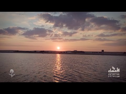 لتجربة ممتعة لا ت نسى إليك أجمل 6 مناطق سياحية في الأحساء