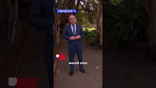 Tiny beetle poses devastating risk to native trees | 9 News Australia