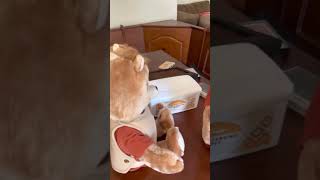 Update - 1985 Teddy Ruxpin’s Movements Work!