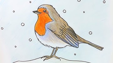 Beginners - How to draw a robin step by step
