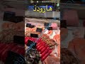 هارودذ لندن هارودذ لندن