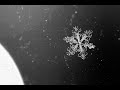 雪 / ちあきなおみ・日吉ミミ / cover:伸[nobu]