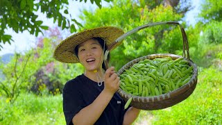 Pick a big basket of broad beans and eat a big plate per person,tender and delicious