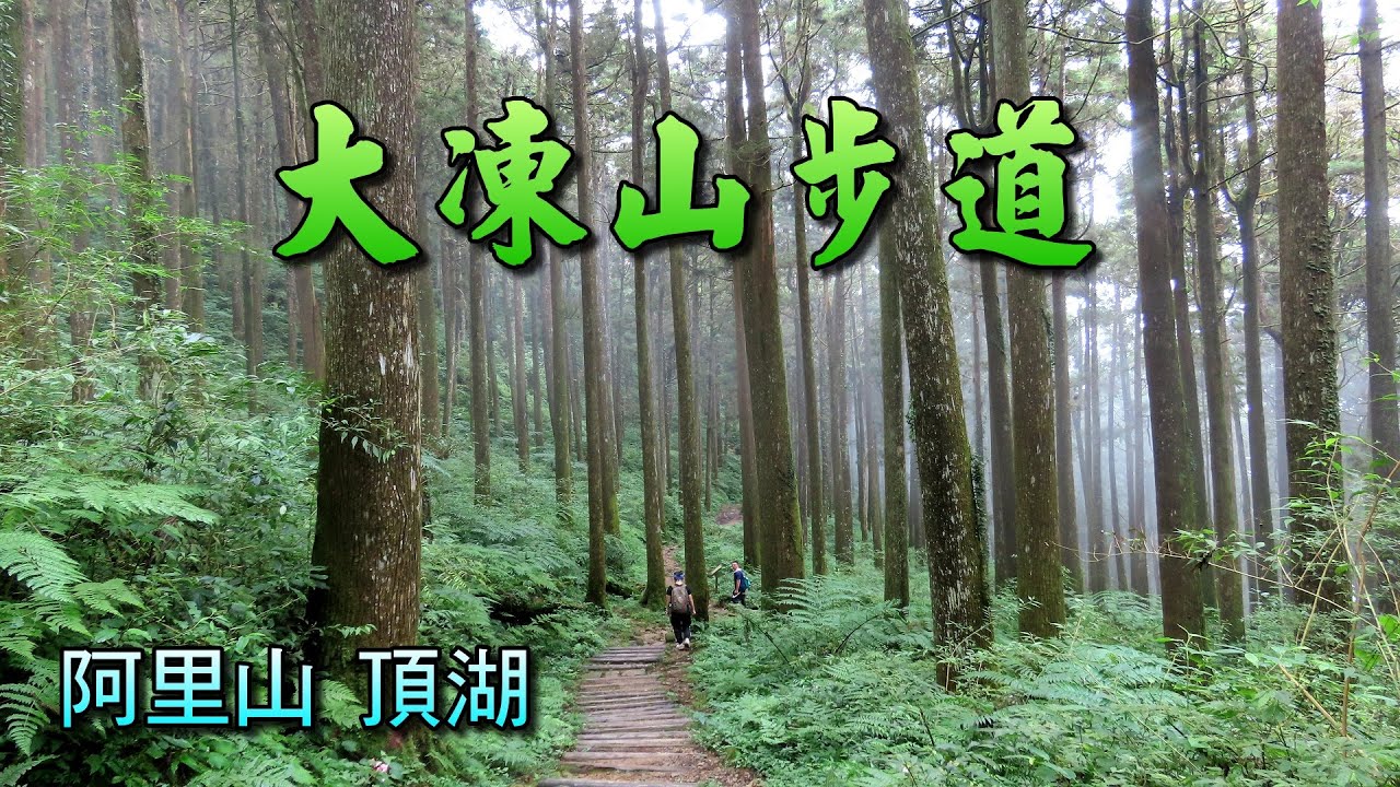 嘉義阿里山頂湖大凍山步道，如何輕鬆走，關鍵叉路很重要，與您分享。
