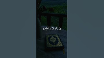 اكتب شيء تؤجر عليه 😴🩶 قران كريم | فارس عباد