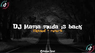 DJ Mama muda is back dj tebang | viral | tiktok | dj kane