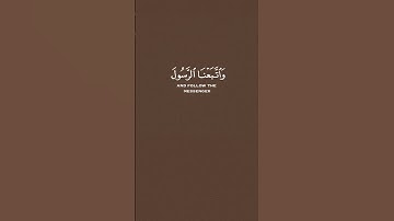 القارئ سعد الغامدي [سُورَةُ آلِ عِمۡرَانَ: ٥٣]