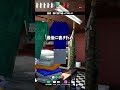 応援してる隠れ方【めっちゃカメレオン】 #shorts #めっちゃカメレオン #かくれんぼ #mecchachameleon