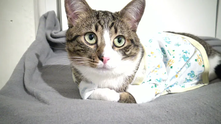 I Am Cold, Mom!