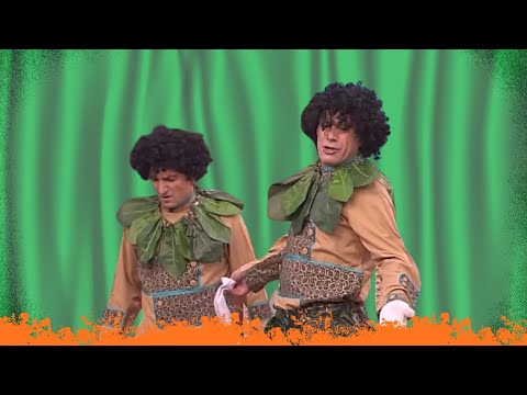 فیتیله قاطینگا و پاتینگا 