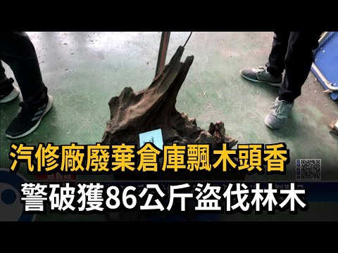 汽修廠廢棄倉庫飄木頭香　警破獲86公斤盜伐林木－民視新聞